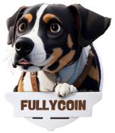 Fully Coin